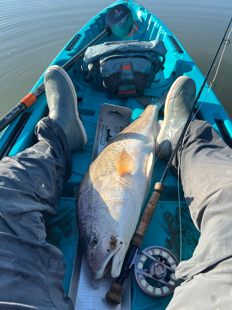 I have a problem [rockfish report] - Kayak Fishing Adventures on Big  Waterâ€™s Edge