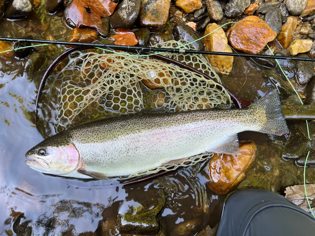 Fly Fishing Buzzers For Beginners - Peaks Fly Fishing